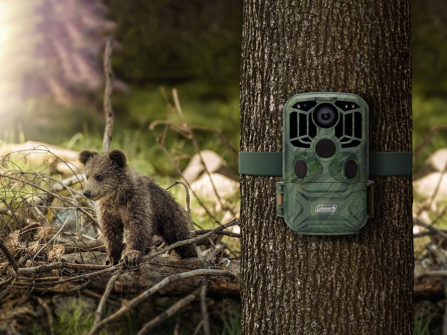Coleman CHD400W 1296p HD WiFi Xtreme Trail Camera
