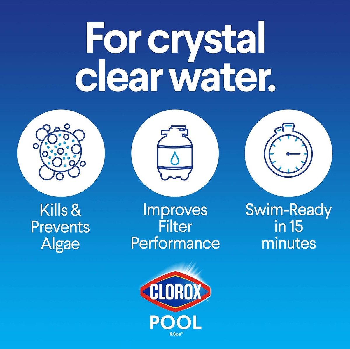 Clorox Pool Spa Shock Extra Blue + Detergente Multiusos
