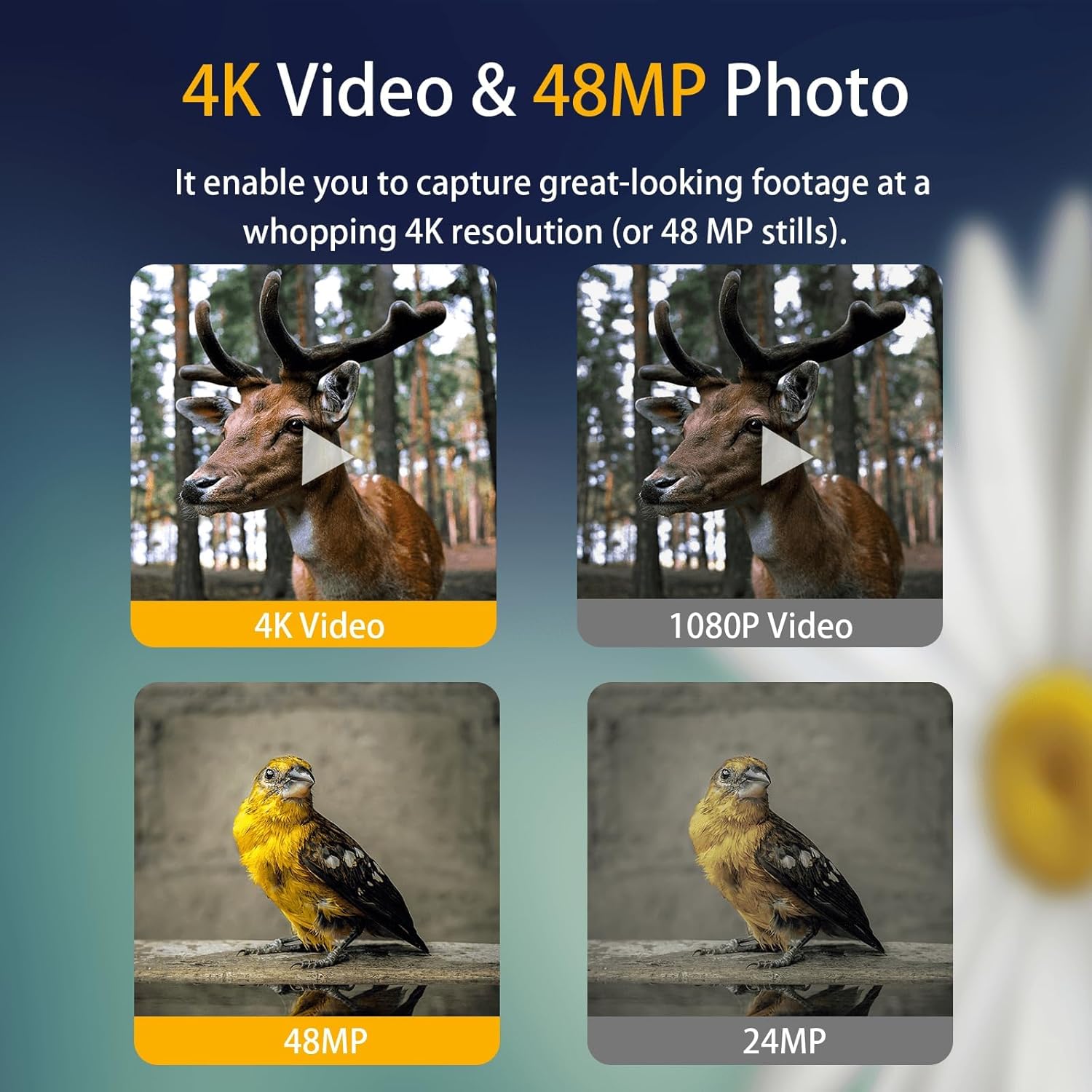 Hfitace Cámara De Rastreo 4k 48mp Con Visión Nocturna