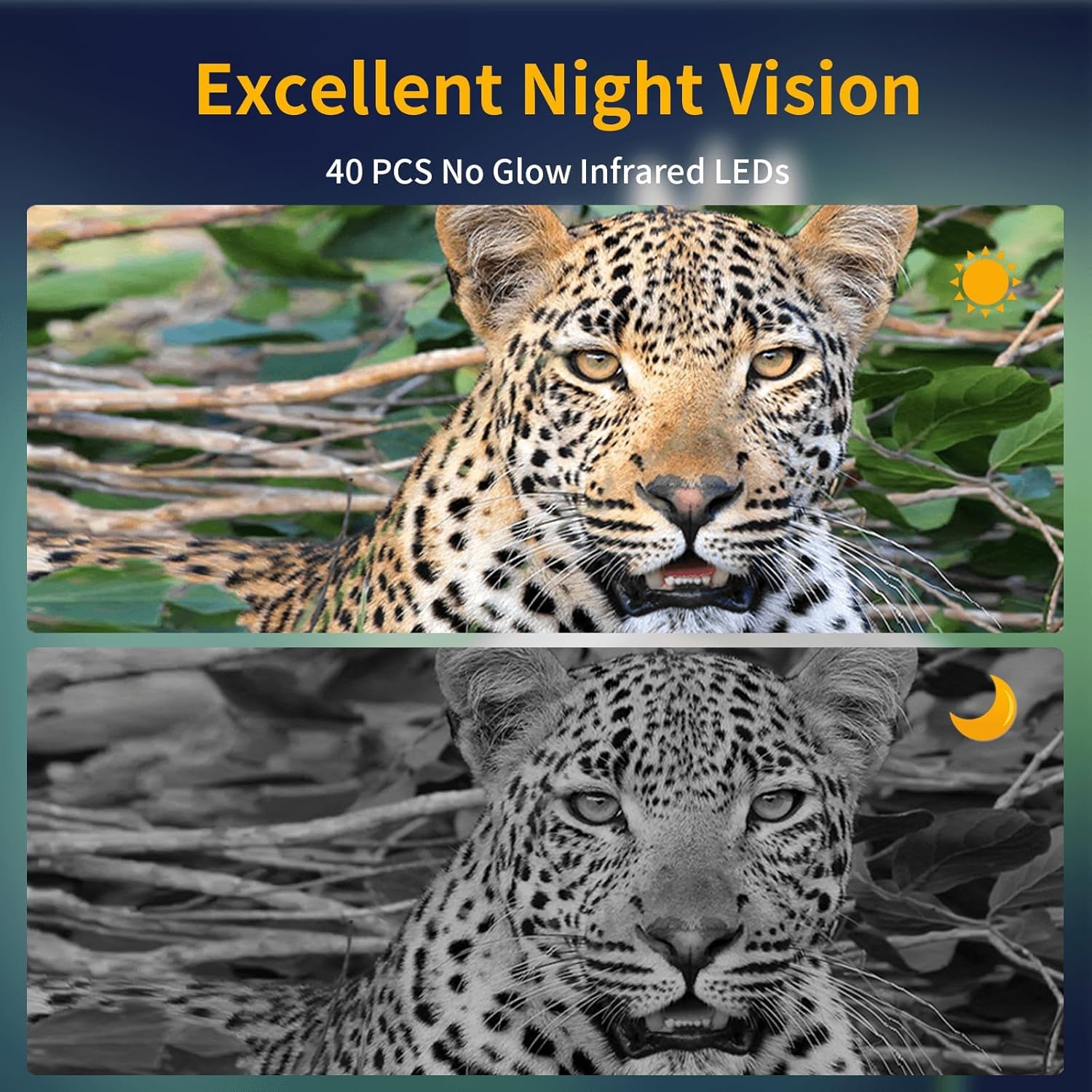 Hfitace Cámara De Rastreo 4k 48mp Con Visión Nocturna