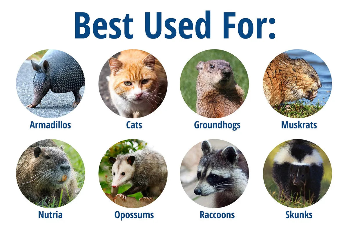 Havahart 1085 Trampa Grande De Animales Vivos De 1 Puerta