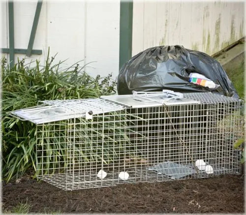 Havahart 1085 Trampa Grande De Animales Vivos De 1 Puerta